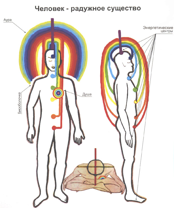 Прямой обратный круг. Энергетические каналы человека схема. Энергетические потоки человека. Движение энергии в теле человека схема. Энергетические потоки в теле человека.