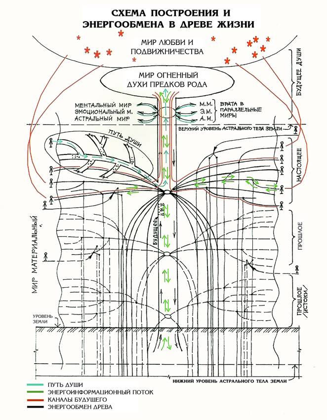 Схема Древа Жизни